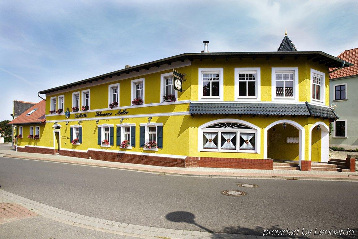 Landhotel Schwarzer Adler Suelzetal Exteriér fotografie